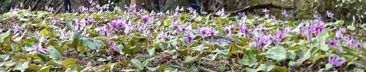 めざせ健康生活